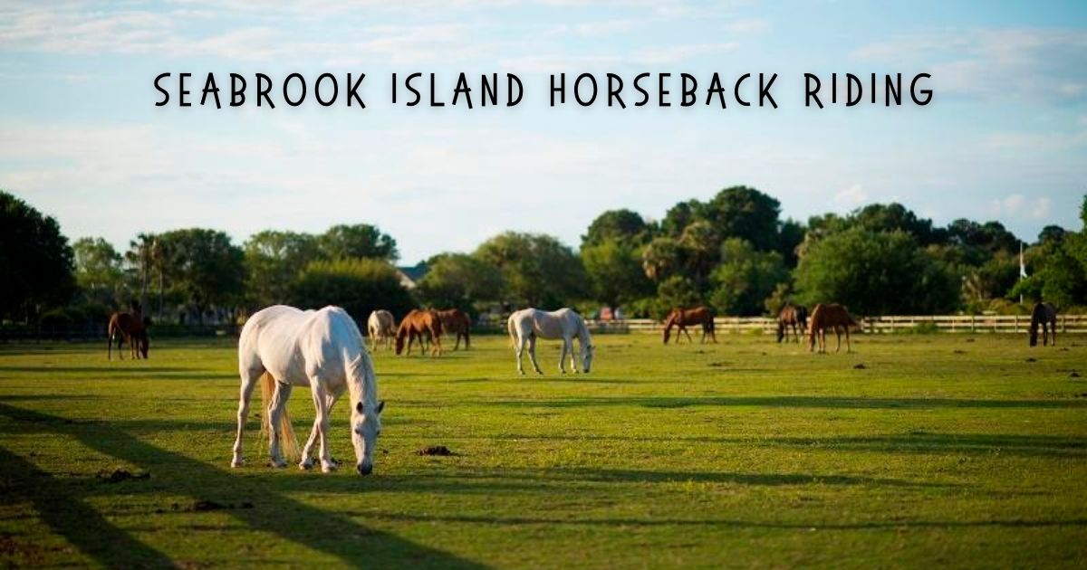 3 Great Options for Horseback Riding in Charleston, SC Pam Harrington