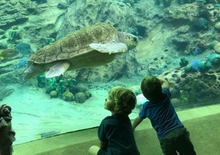 Charleston Aquarium South Carolina