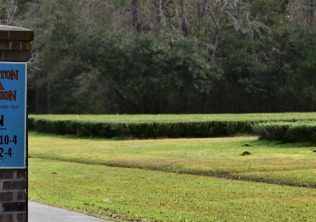 Charleston Tea Garden