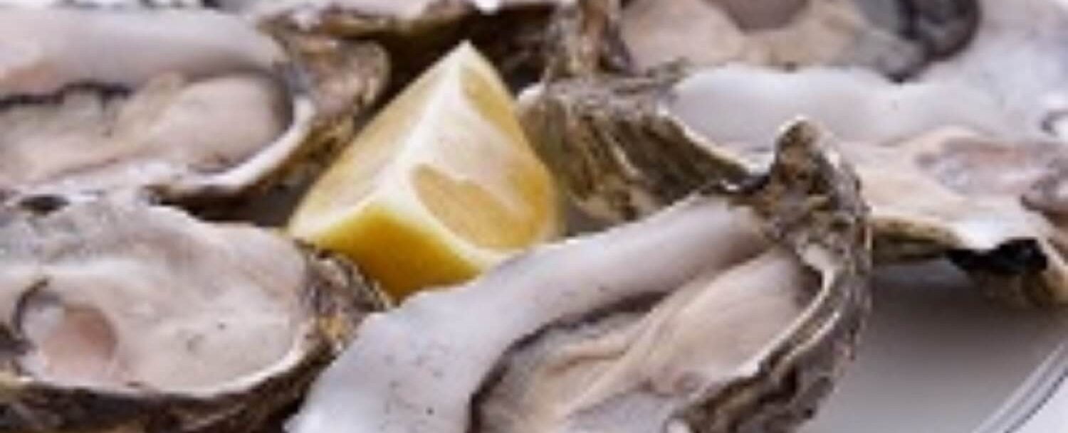 Oyster Roasts for Charleston, SC Pam Harrington Exclusives