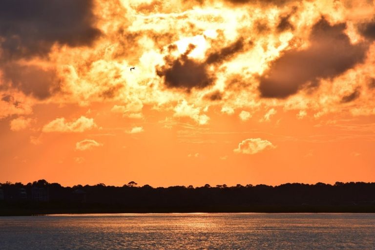 Stonoview on Johns Island, SC Real Estate and Homes for Sale