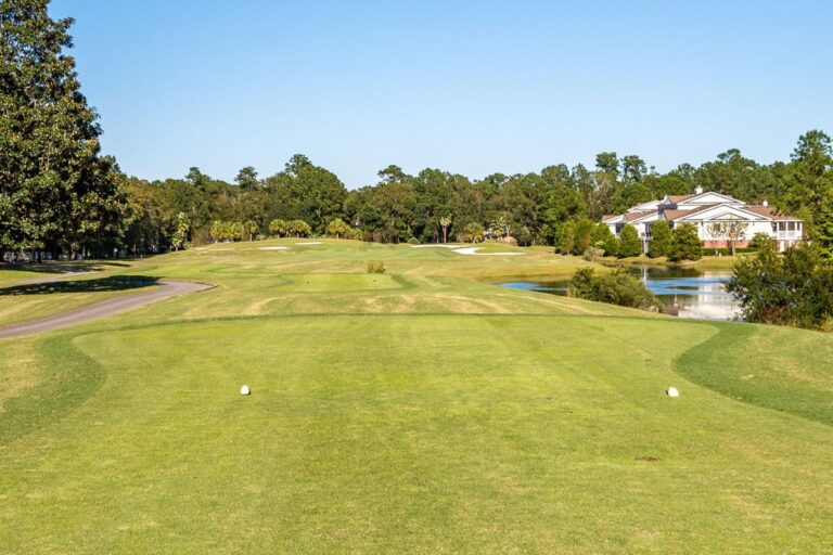 The Plantation at Stono Ferry Neighborhood Info & Real Estate