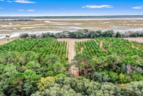 Acreage Lot for sale on Johns Island Waterfront
