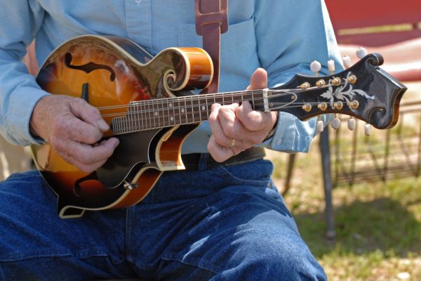 Bluegrass mandolin player
