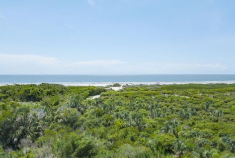 Seabrook Island Oceanfront Lot for Sale