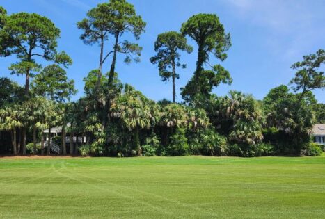 Kiawah Island lot for sale