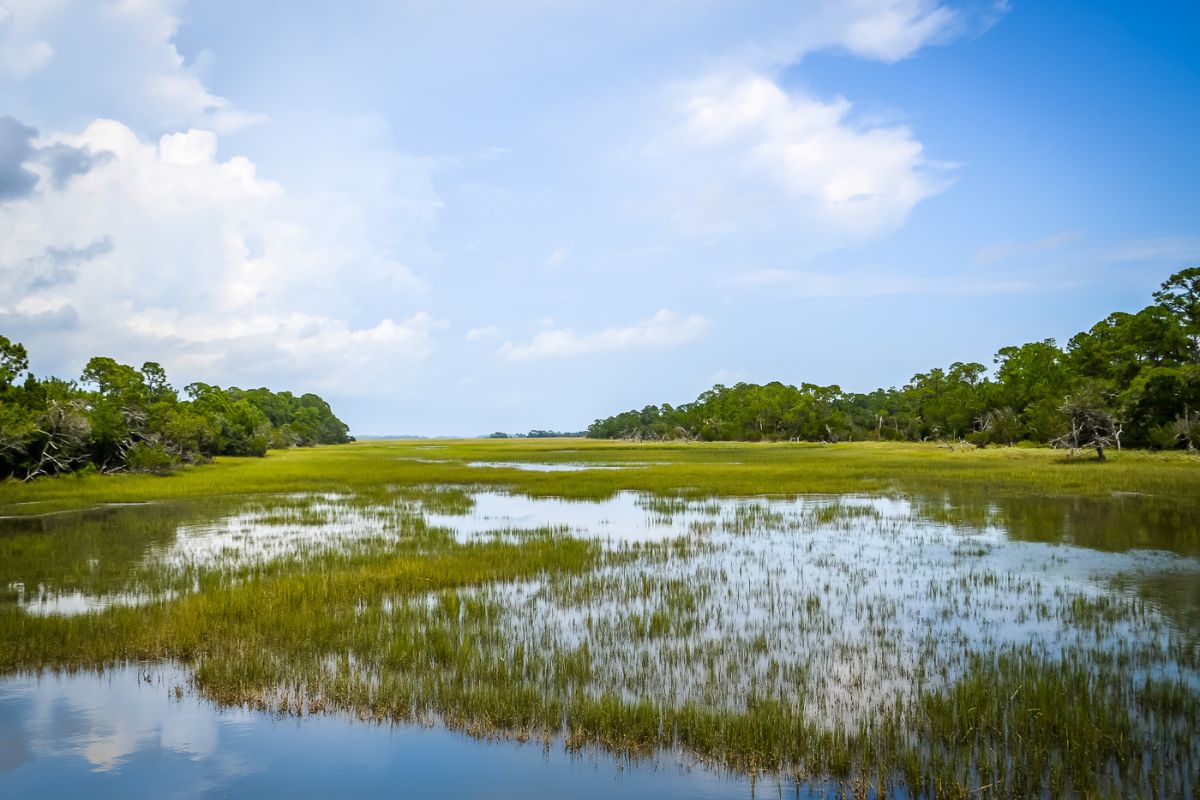 The Preserve Kiawah Island Bridge to Terrapin Island in The Preserve Kiawah Island