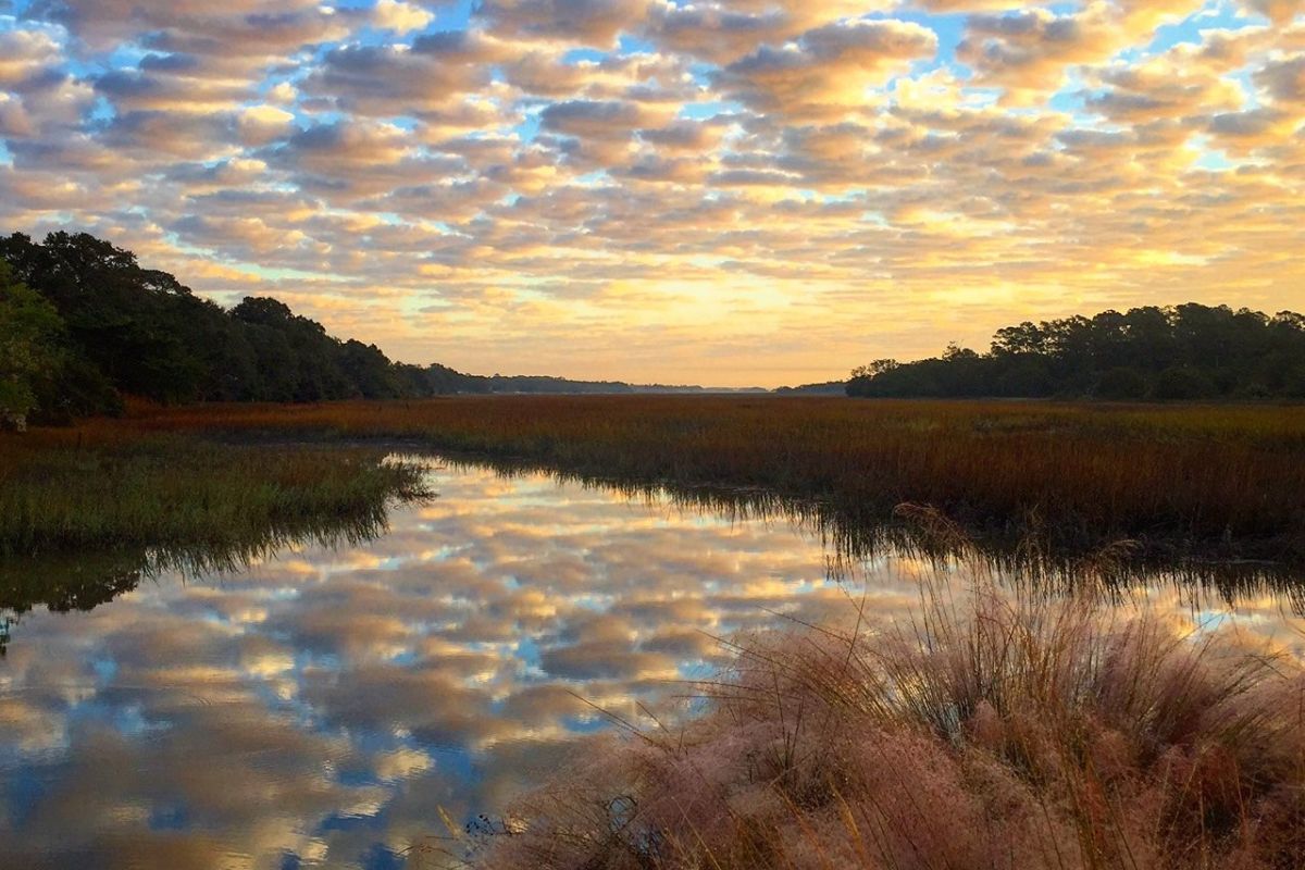 Inlet at Seabrook Marsh Views