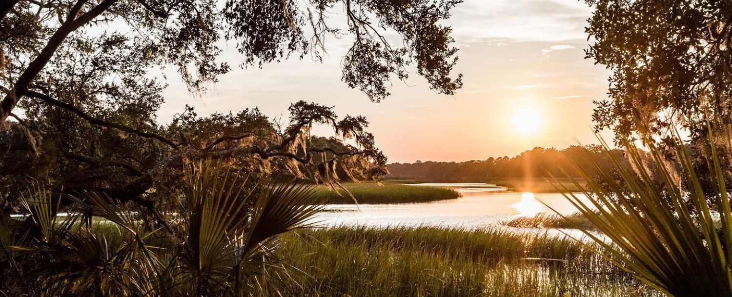 Johns Island Living Market Report