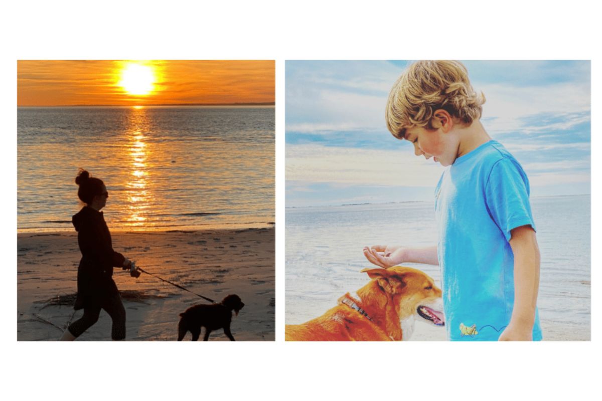 Kiawah Island Pet Friendly Beach