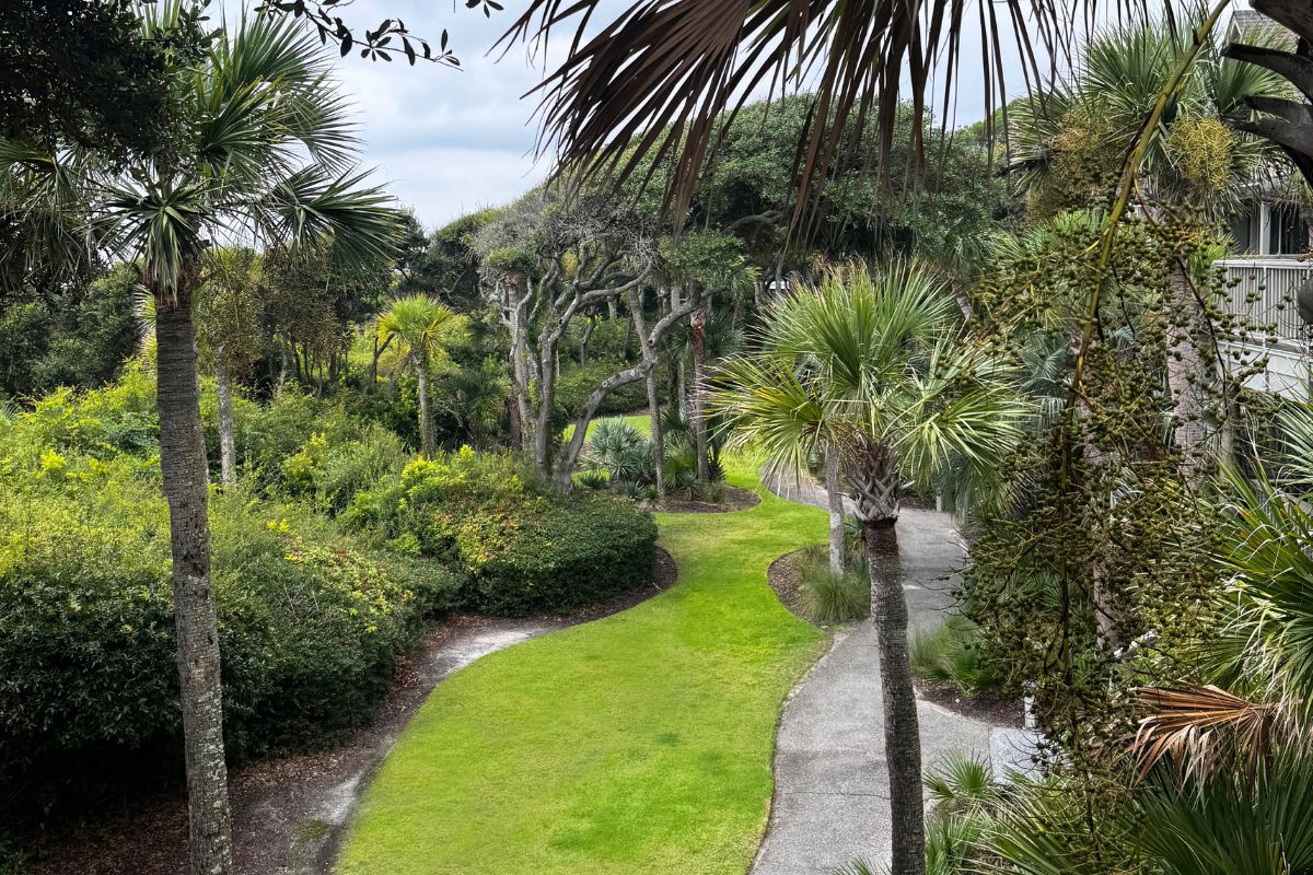 Seascape Villa Grass For Pets Kiawah Island