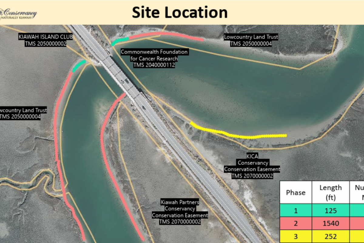 Oyster Restoration in the Kiawah River