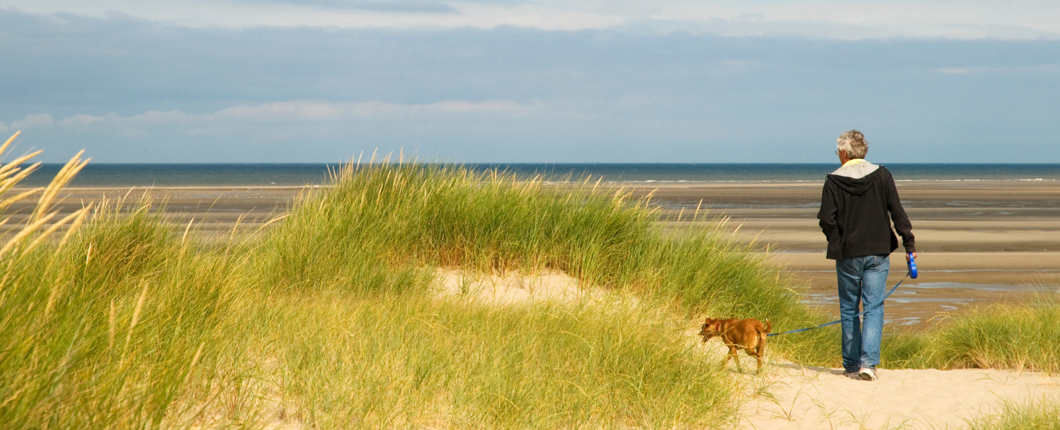 Man walking dog on the beach at Seabrook Island, SC
