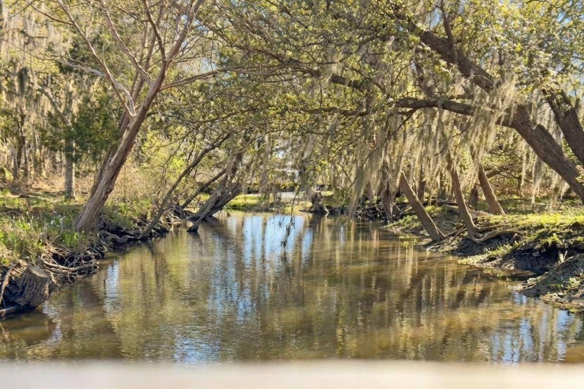 Oyster House Creek lined with live oaks and Spanish moss at 6411 China Back Lane, Meggett SC — Archfield Plantation tidal creek with ICW access