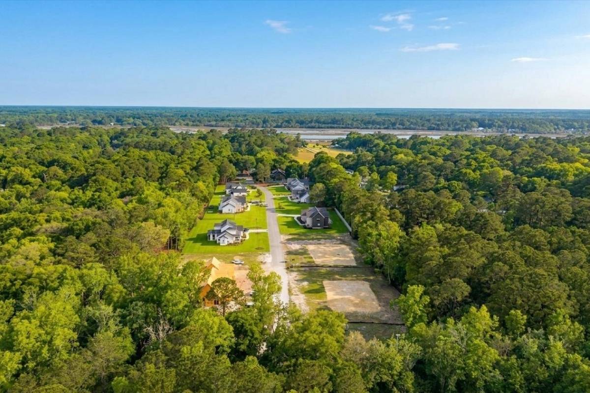 Aerial overview of Haven Estates neighborhood on Johns Island SC showing new construction homes nestled among trees with tidal marsh views in the distance