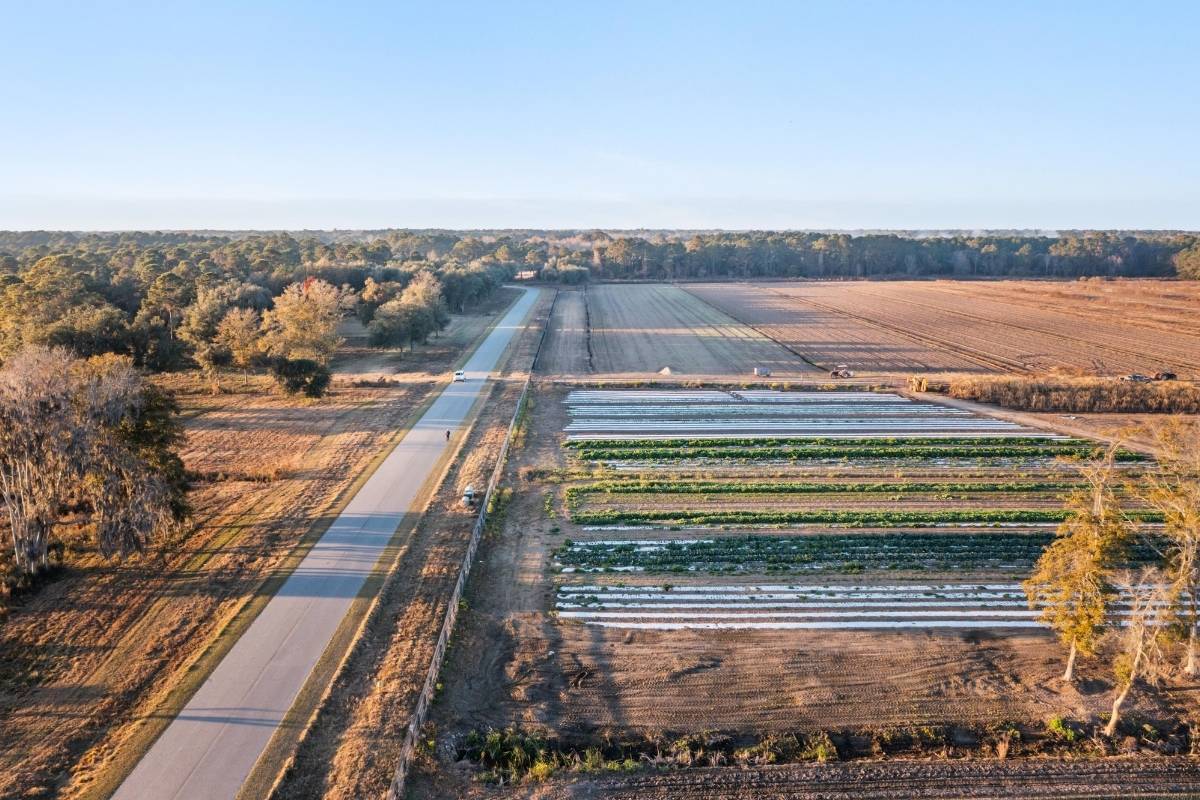 Aerial view of Kiawah River Farm produce fields and community road at golden hour, Johns Island SC