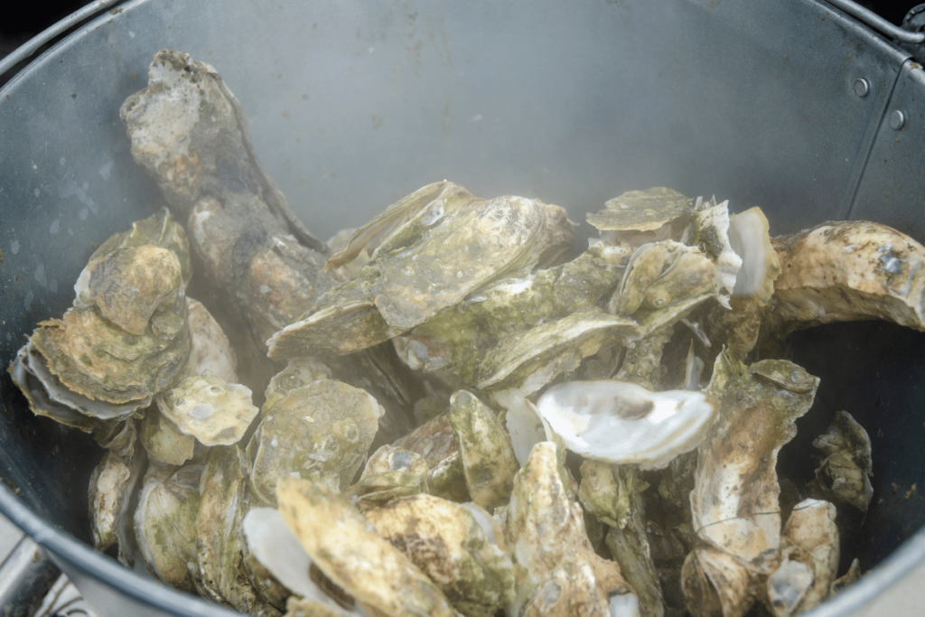 Oyster Roasts in the Lowcountry