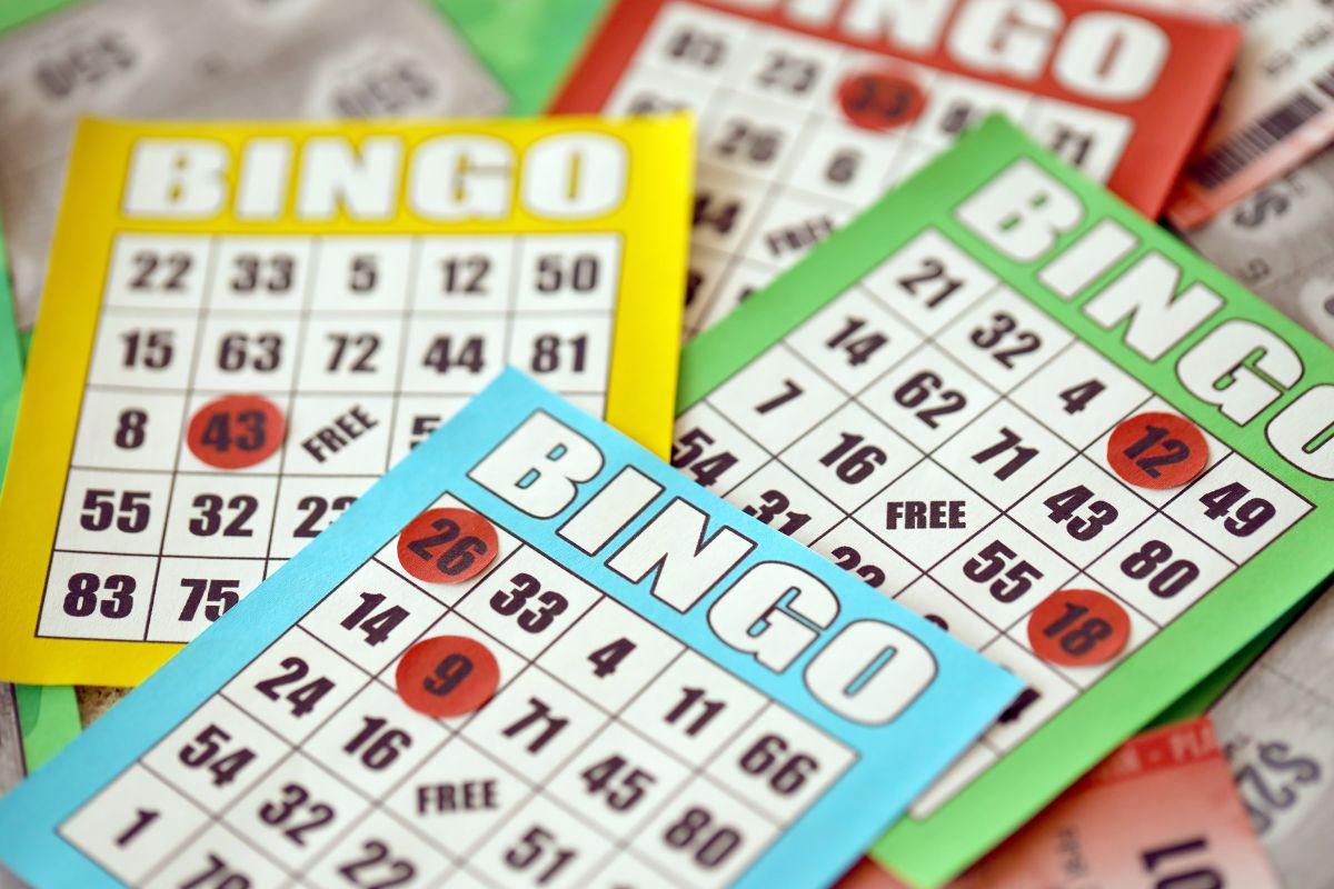Bingo Bonanza