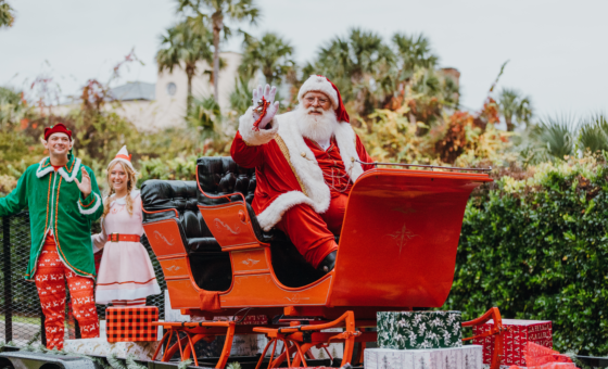 Santa's Arrival at The Sanctuary