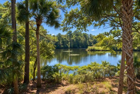 Lagoon Views from 348 Governors on Kiawah Island listed by Pam Harrington Exclusives